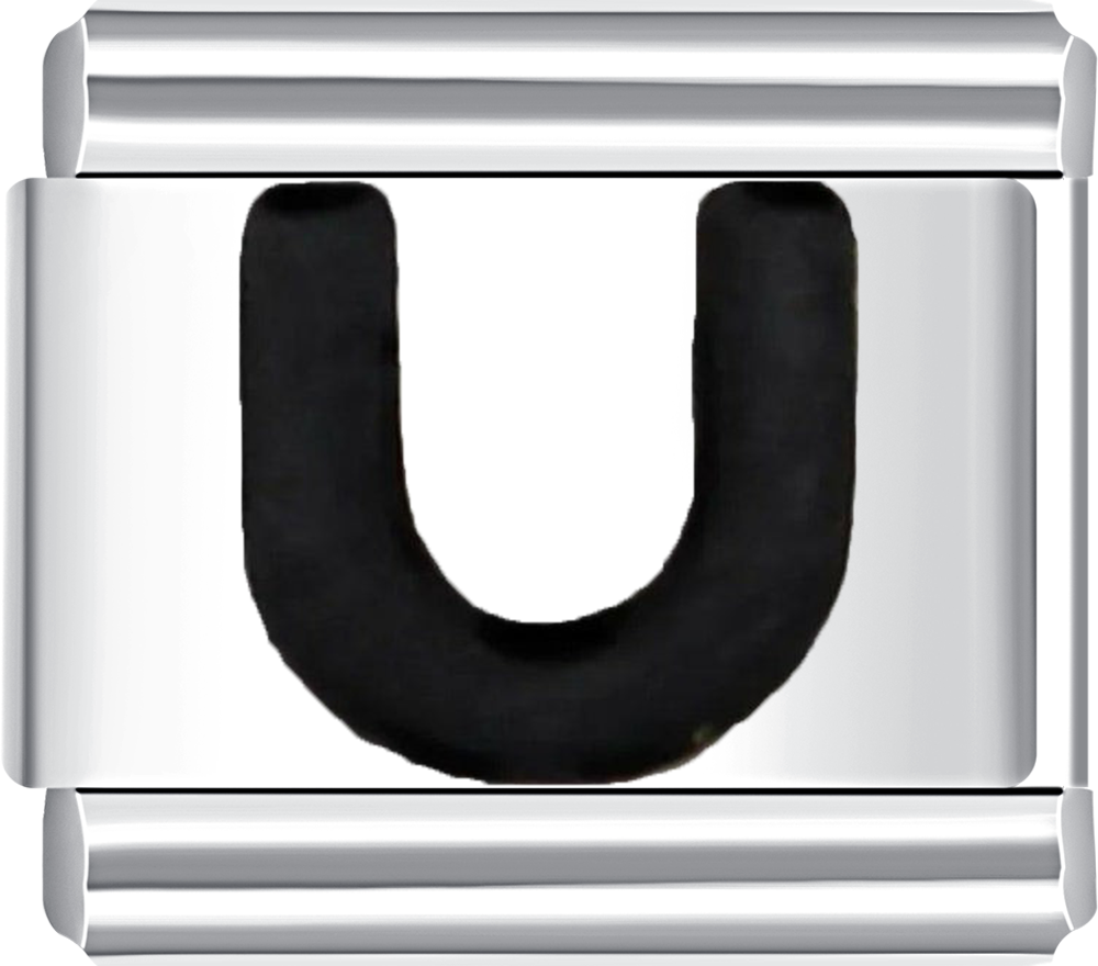 Metallic U-shaped clip with black center