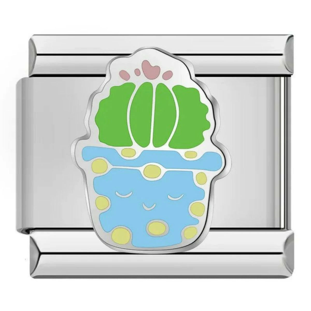 Green Cactus With Turquoise Pot