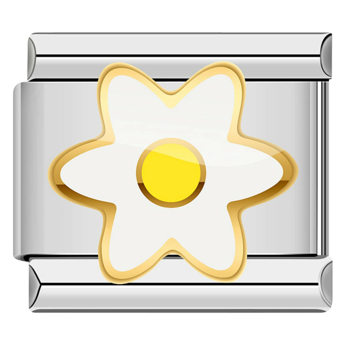 White Daisy And Her Yellow Heart