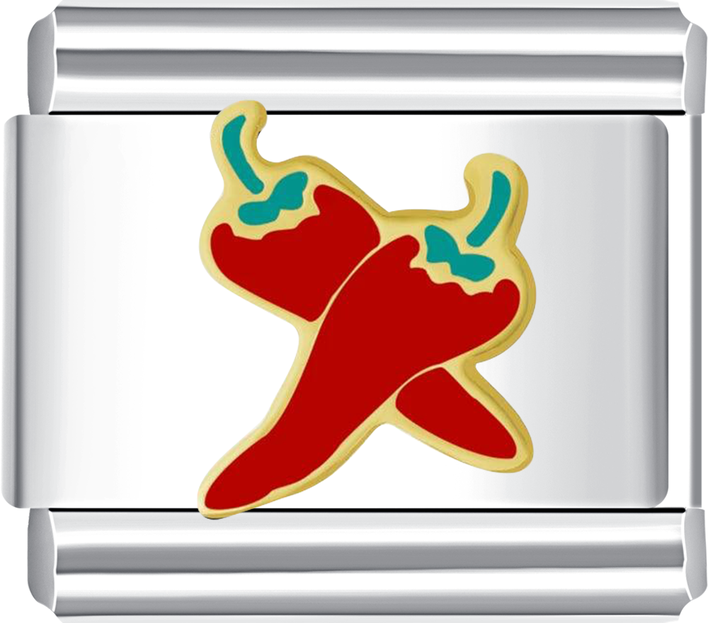  the Double Red Pepper Italian charm bracelet from CHARMSDIY! Featuring a bold red pepper design on durable stainless steel