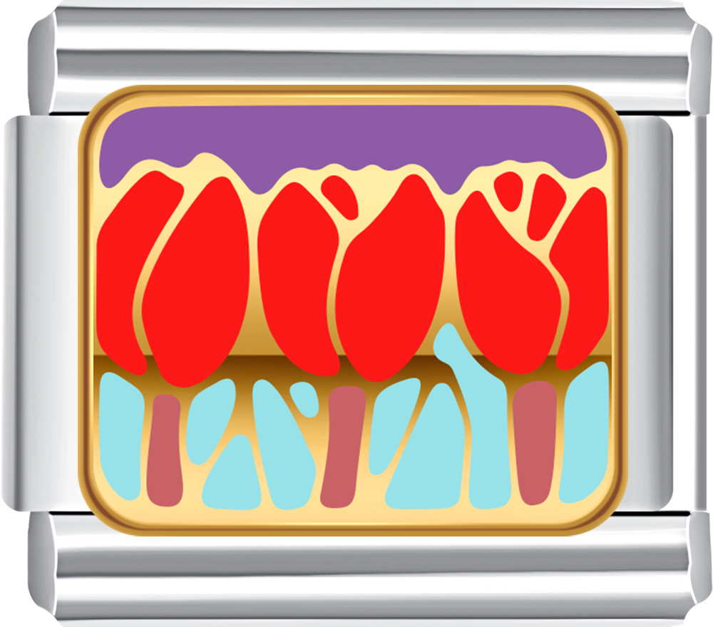 Silver charm with a colorful tulip design 