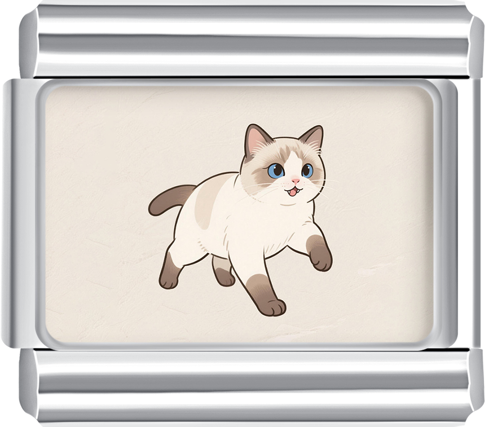 Cream Siamese cat walking on a beige background Italian charm