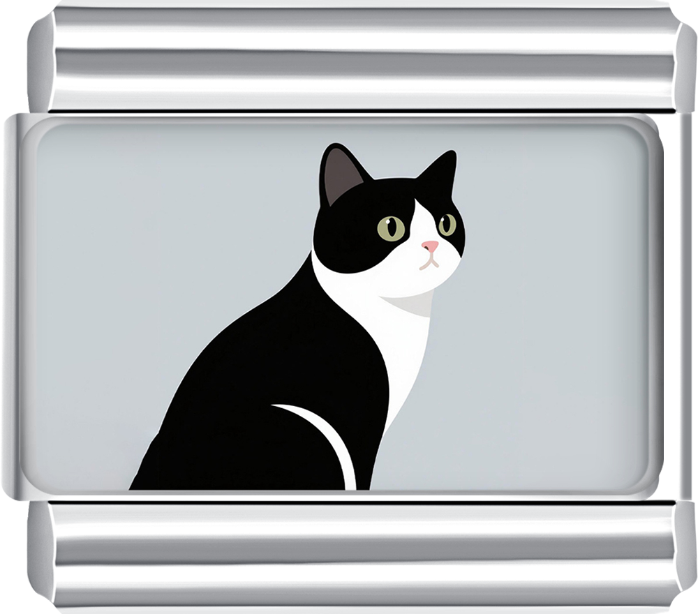 Black and white tuxedo cat on a gray background Italian charm