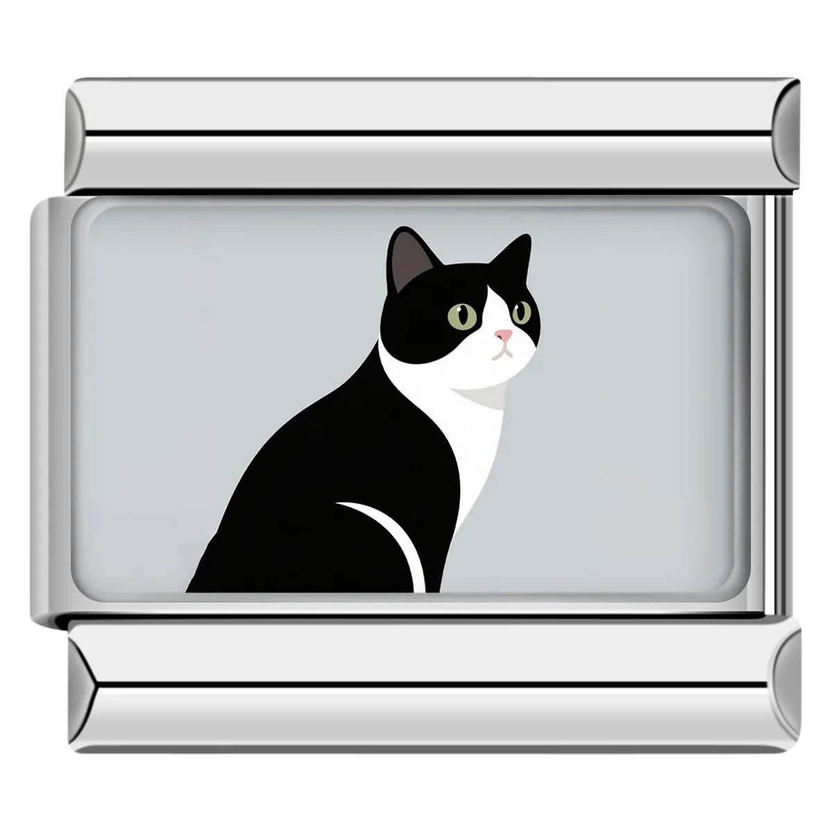 Black and white tuxedo cat on a gray background Italian charm