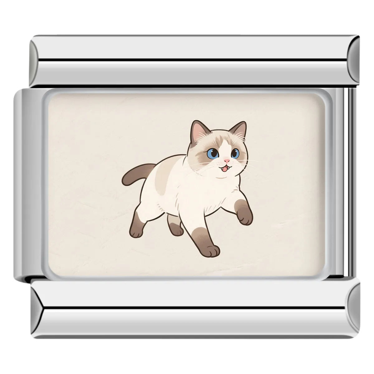 Cream Siamese cat walking on a beige background Italian charm